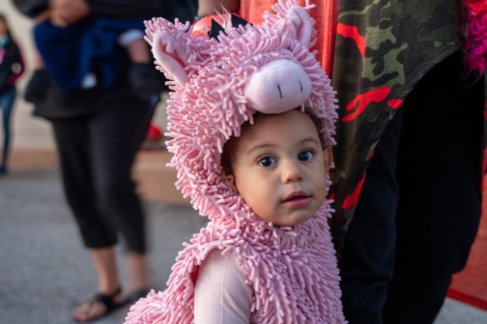 Fall-Festival-07